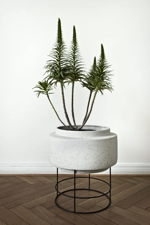 Bolia Blumentopf Botanique Keramik Grau / O 34,8 X H 40,5 Cm - Keramik - Grau - Schwarz Online