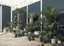 Bolia Blumentopf Botanique Keramik Grau / O 34,8 X H 40,5 Cm - Keramik - Grau - Schwarz Online