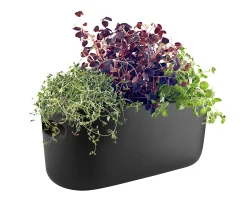 Eva Solo Blumentopf Mit Wasserreservoir Herb Keramik/ Krauter-Pflanztopf - Keramik - Schwarz Best Sale