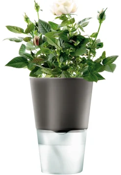 Eva Solo Blumentopf Mit Wasserreservoir  Glas Keramik Grau Schwarz - Klein - Anthrazit Hot