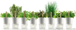 Eva Solo Blumentopf Mit Wasserreservoir  Glas Keramik Grau Schwarz - Klein - Anthrazit Hot