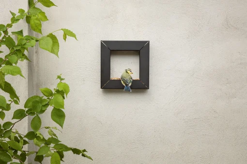 Eva Solo Futterstelle Fur Vogel Frame Metall/ 21 X 21 Cm - Stahl - Schwarz Online