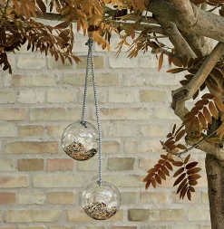 Eva Solo Futterstelle Fur Vogel  Glas/ 2Er-Set - O 10 Cm - Transparent Discount