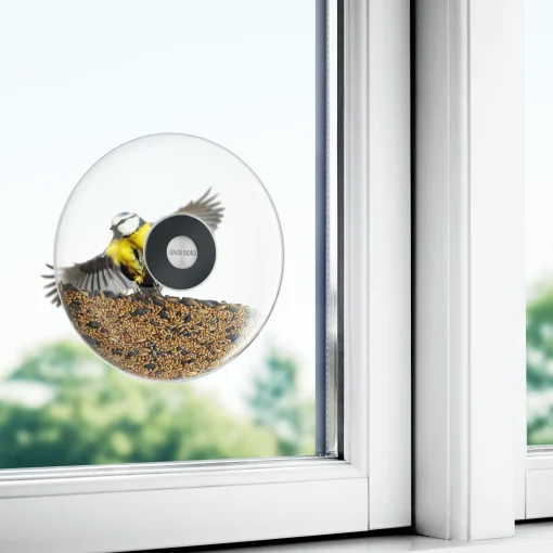 Eva Solo Futterstelle Fur Vogel Large Glas Transparent / Fur Die Fensterscheibe - O 20 Cm - Edelstahl - Schwarz - Transparent Cheap