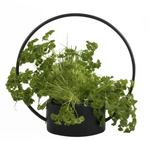 XL Boom Korb O Medium Metall/ Korb - O 35 Cm X H 34 Cm - Schwarz Online