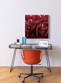 Cappellini Sessel Mit Rollen Juli Plastic Plastikmaterial / Verstellbare Hohe - Schwarz Best Sale
