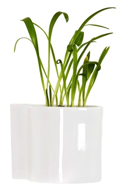 Thelermont Hupton Wand-Blumentopf Hover Keramik/ Porzellan - O 12 Cm - Weis Outlet