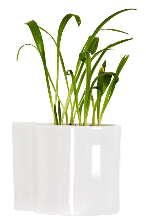 Thelermont Hupton Wand-Blumentopf Hover Keramik/ Porzellan - O 12 Cm - Weis Outlet